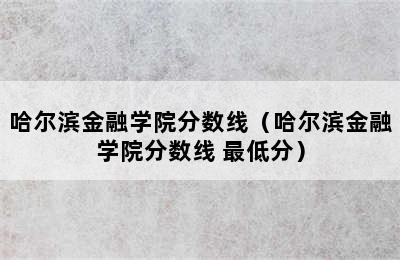 哈尔滨金融学院分数线（哈尔滨金融学院分数线 最低分）